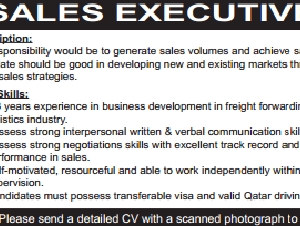 SALES EXECUTIVE