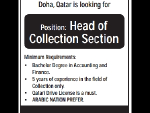 Head of Collection Section