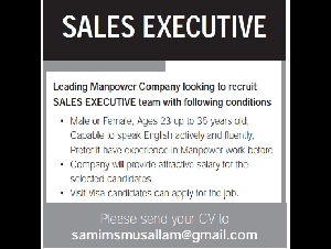SALES EXECUTIVE