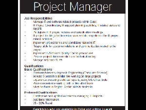 Project Manager