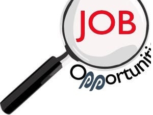 Sales executive