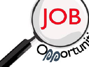 Internal Auditor